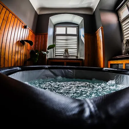 Palac Spiz Kolo Karpacza מלון Miłków