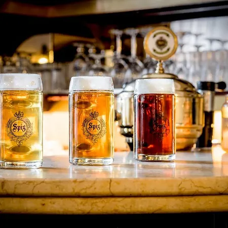 מלון Palac Spiz Kolo Karpacza 3*