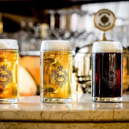 Hotel Palac Spiz Kolo Karpacza Miłków