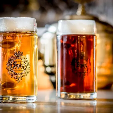 Palac Spiz Kolo Karpacza Miłków